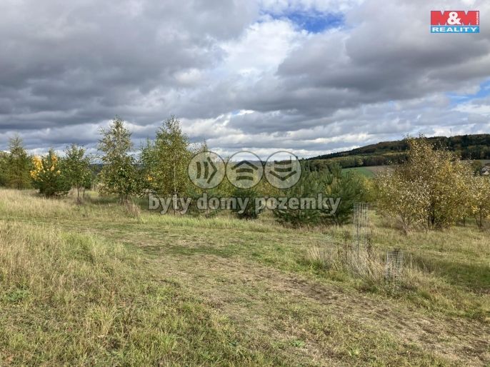 Prodej, Pozemek k bydlení, Švihov