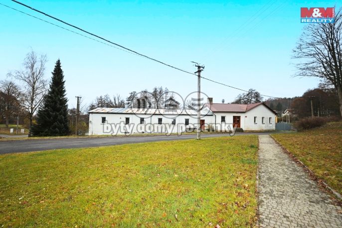 Prodej, Výrobní objekt, Plesná