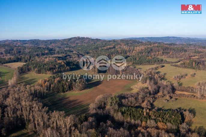 Prodej, Les, Nalžovské Hory