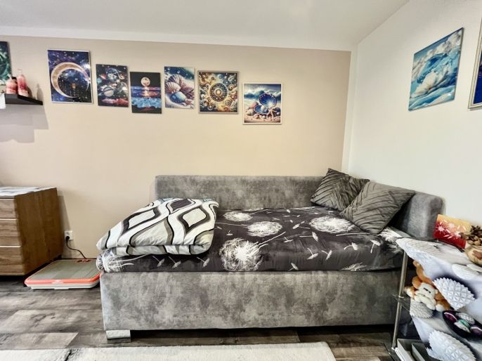 Prodej, Byt 2+1, Ostrava