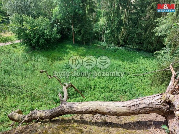 Prodej, Louka, Vysoká