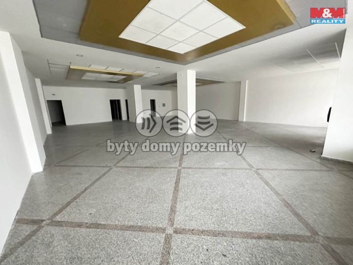 Pronájem, Obchod a služby, Mladá Boleslav