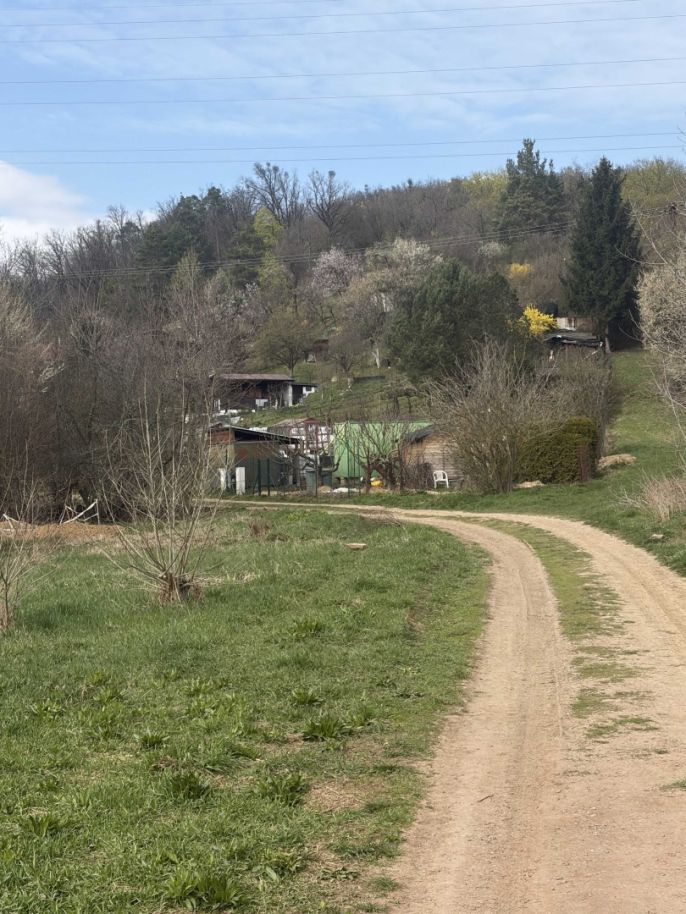 Prodej, Zahrada, Brno