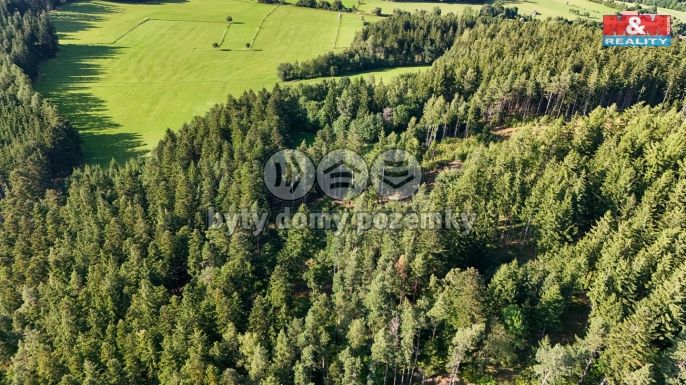 Prodej, Les, Petrovice u Sušice