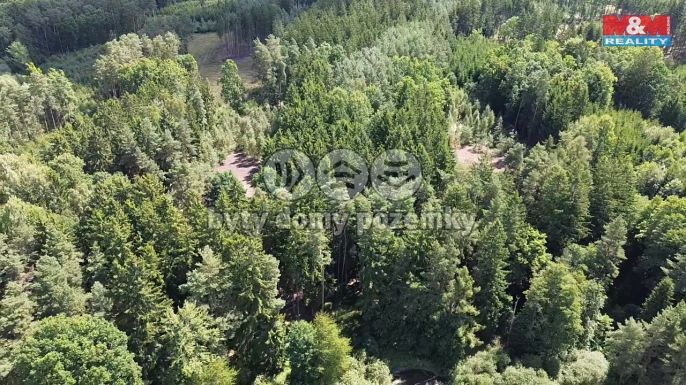 Prodej, Les, Opařany