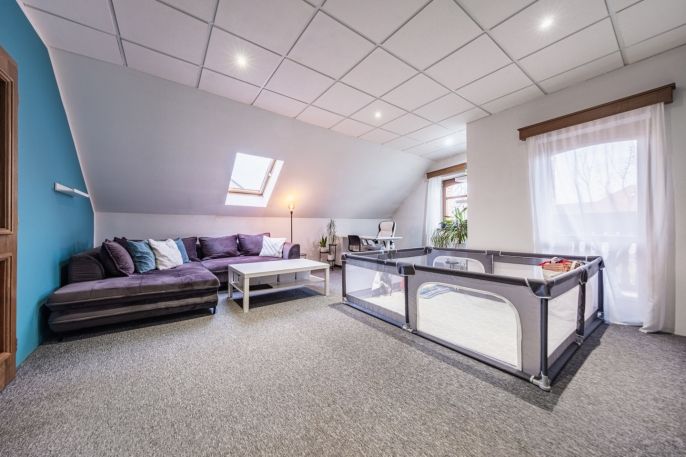 Prodej, Výrobní objekt, Droužkovice