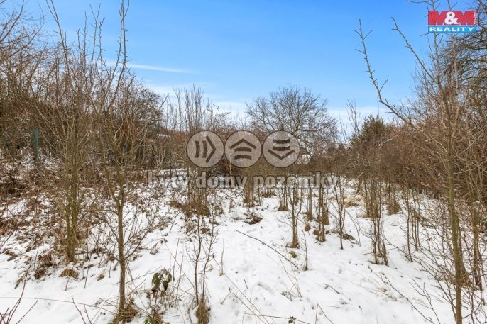 Prodej, Chata, Černolice