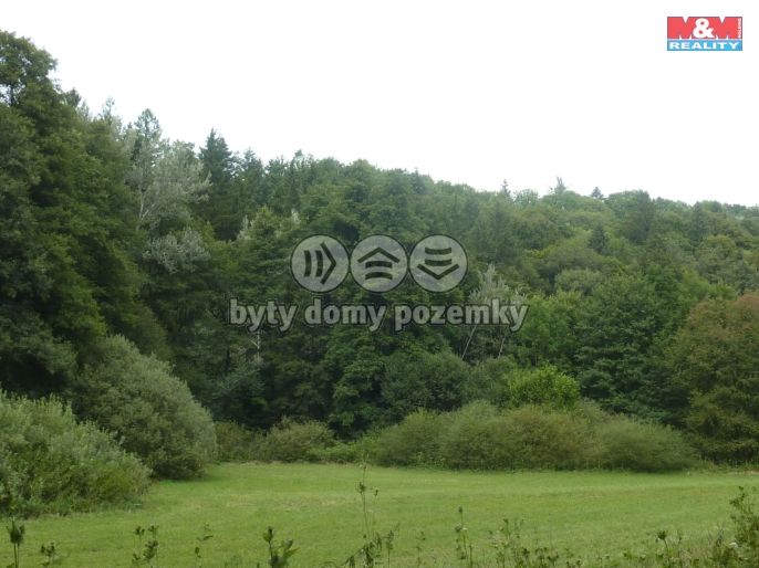 Prodej, Les, Vysoká Srbská