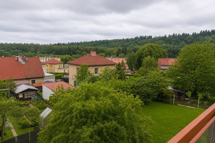 Prodej, Byt 1+1, Zruč nad Sázavou