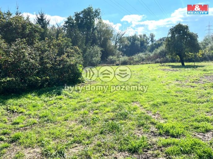 Prodej, Zahrada, Vršovice