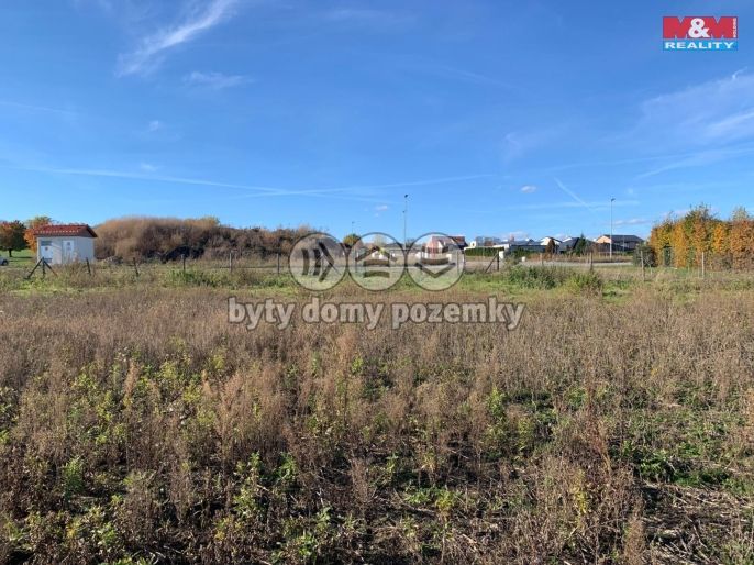 Prodej, Zahrada, Holubice