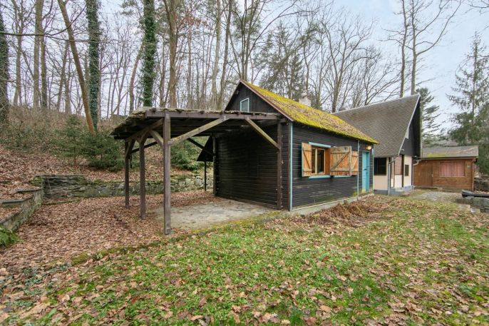 Prodej, Chata, Plešnice