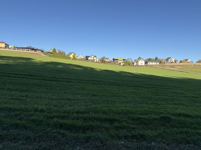 Prodej, Les, Velká Polom