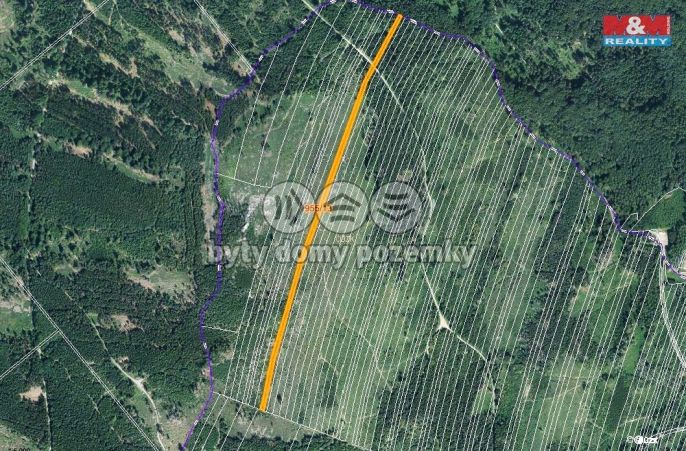 Prodej, Les, Nová Hradečná