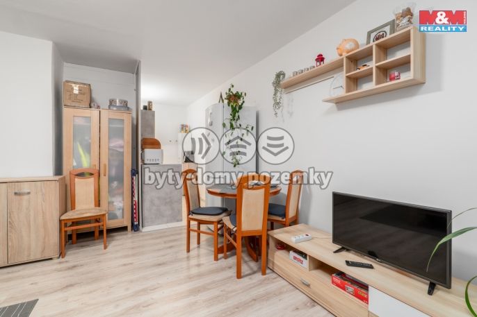 Pronájem, Byt 1+kk, Teplice