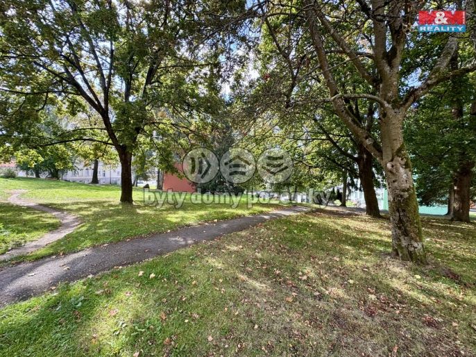 Prodej, Byt 3+kk, Aš