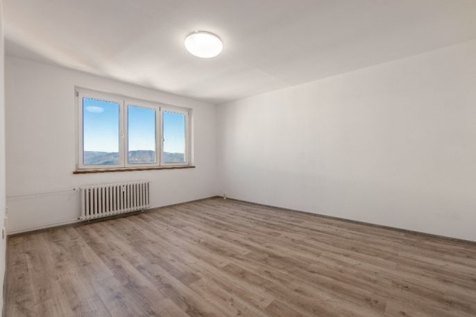 Prodej, Byt 1+1, Ústí nad Labem