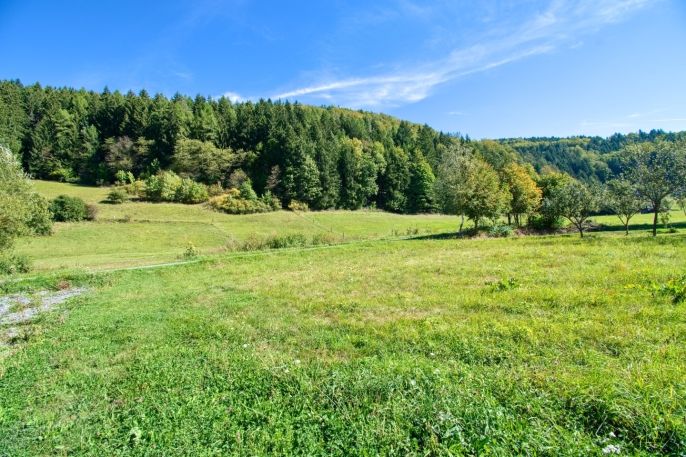 Prodej, Louka, Nový Hrozenkov