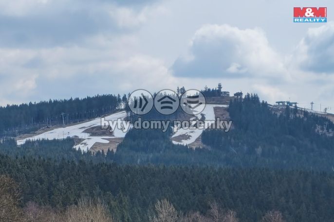 Prodej, Byt 3+kk, Abertamy