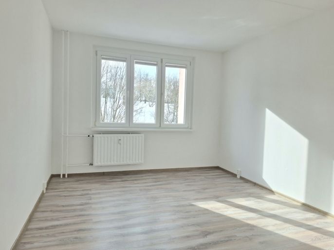 Pronájem, Byt 3+1, Ostrov