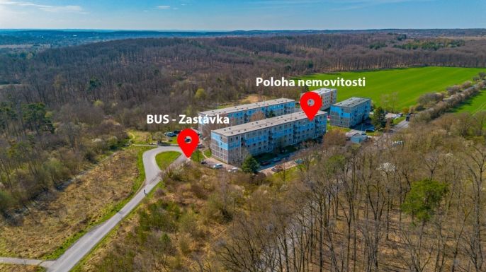 Prodej, Byt 2+1, Milovice