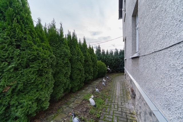Prodej, Rodinný dům, Plesná