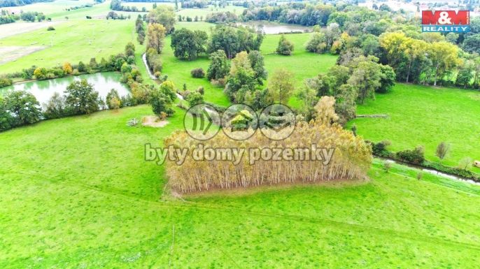 Prodej, Les, Skřivany