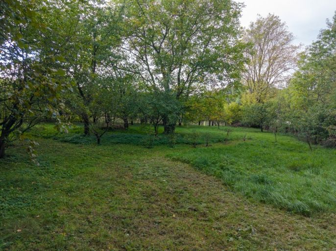 Prodej, Pozemek k bydlení, Zdechovice