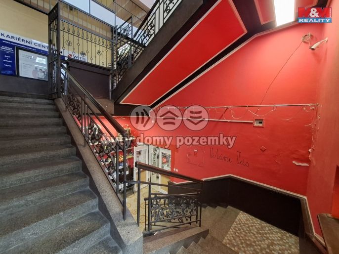 Pronájem, Obchod a služby, Ostrov