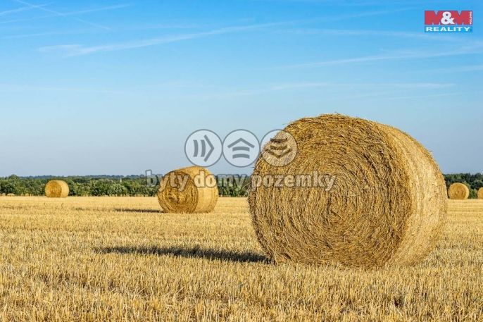 Prodej, Pole, Líně