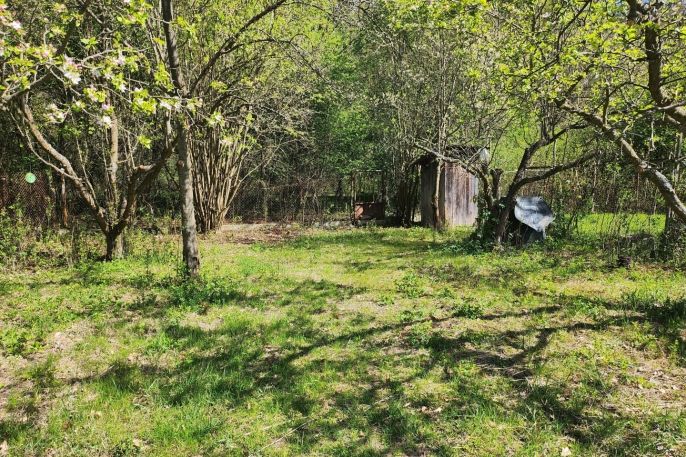 Prodej, Zahrada, Louny