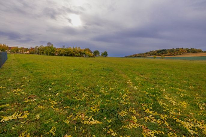Prodej, Louka, Lužany