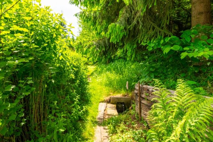 Prodej, Chata, Větřní