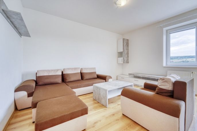 Pronájem, Byt 1+kk, Plasy