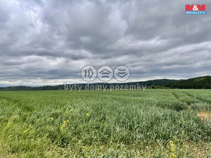 Prodej, Pole, Měcholupy