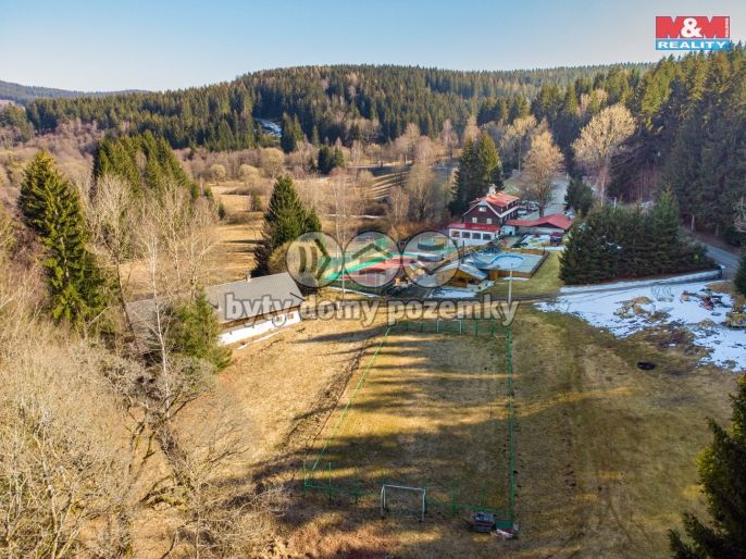 Prodej, Hotel, penzion, Bartošovice v Orlických horách