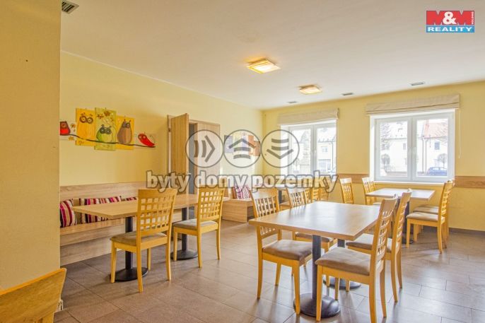 Prodej, Hotel, penzion, Slezské Rudoltice