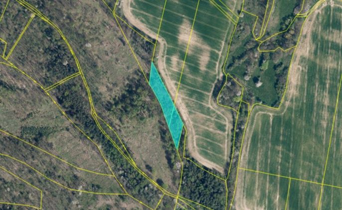 Prodej, Les, Kravaře