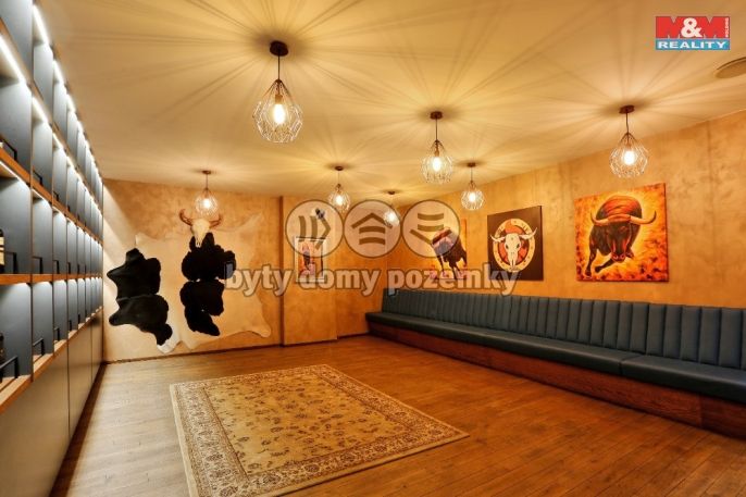 Pronájem, Restaurace, stravování, Olomouc