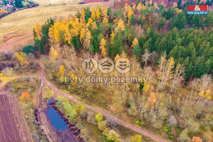 Prodej, Les, Tuchořice