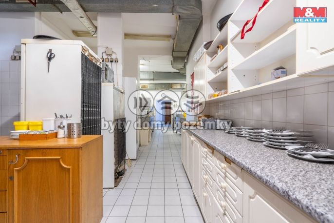 Prodej, Hotel, penzion, Rožmberk nad Vltavou