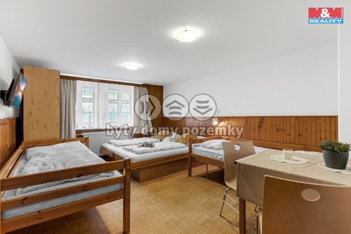 Prodej, Hotel, penzion, Rokytnice nad Jizerou