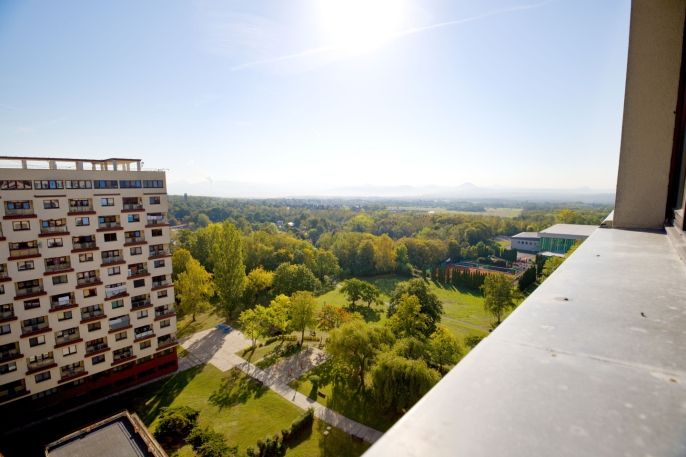 Prodej, Byt 1+kk, Litvínov