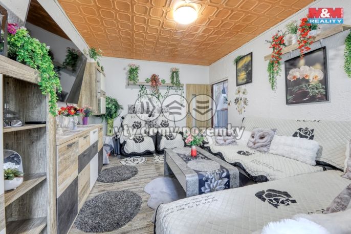 Prodej, Byt 2+1, Bor