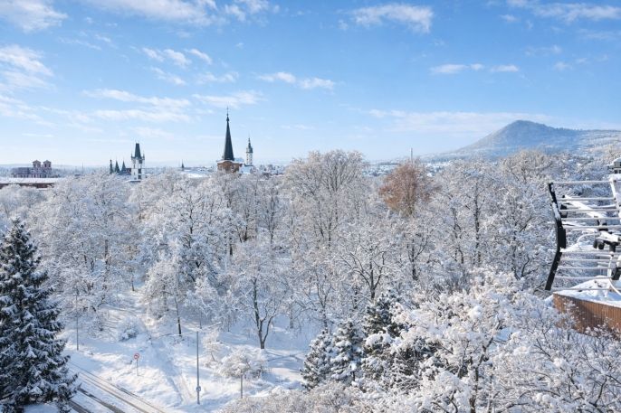 Prodej, Byt 1+1, Litoměřice