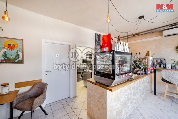 Prodej, Nájemní dům, Mělník