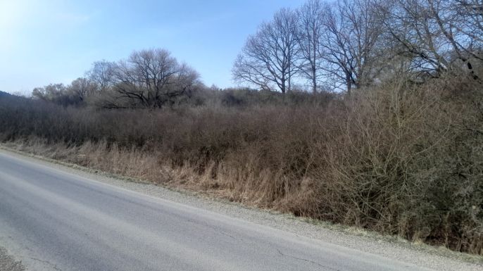 Prodej, Ostatní, Jinín