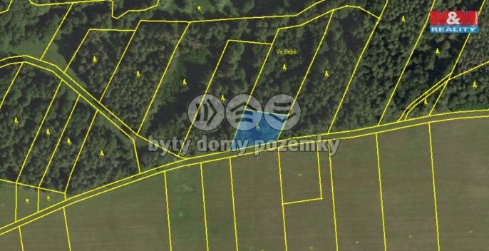 Prodej, Les, Lipová