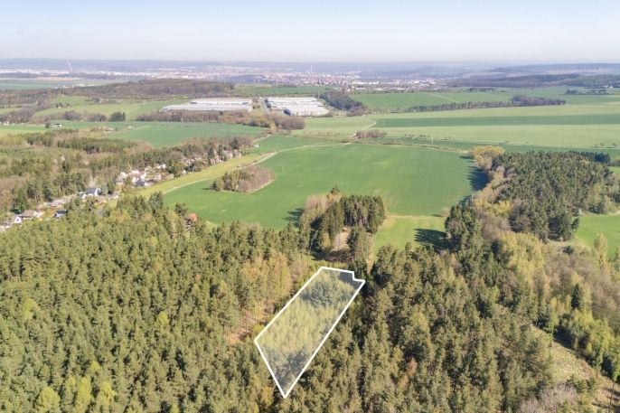 Prodej, Les, Losiná