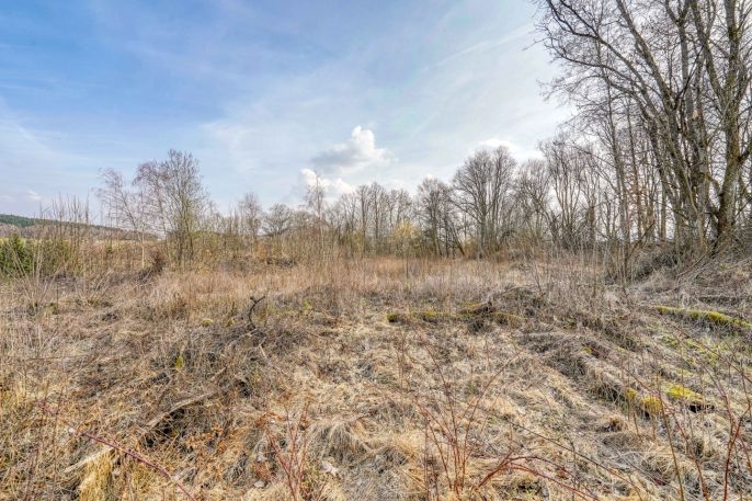 Prodej, Pozemek k bydlení, Třemešné